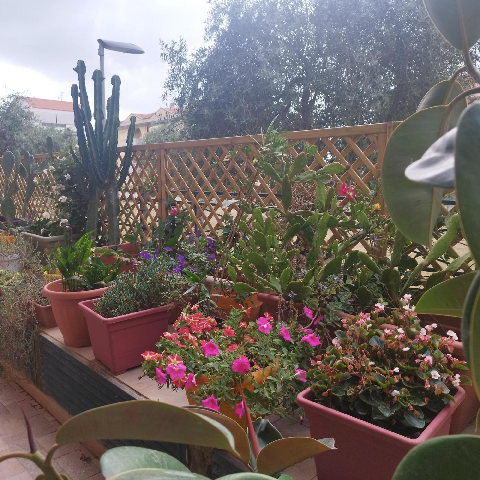 Appartamento Alghero Lovely Flat Esterno foto