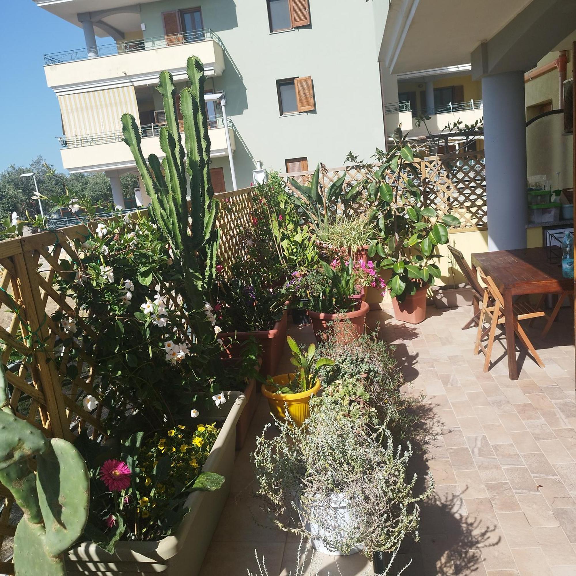 Appartamento Alghero Lovely Flat Esterno foto